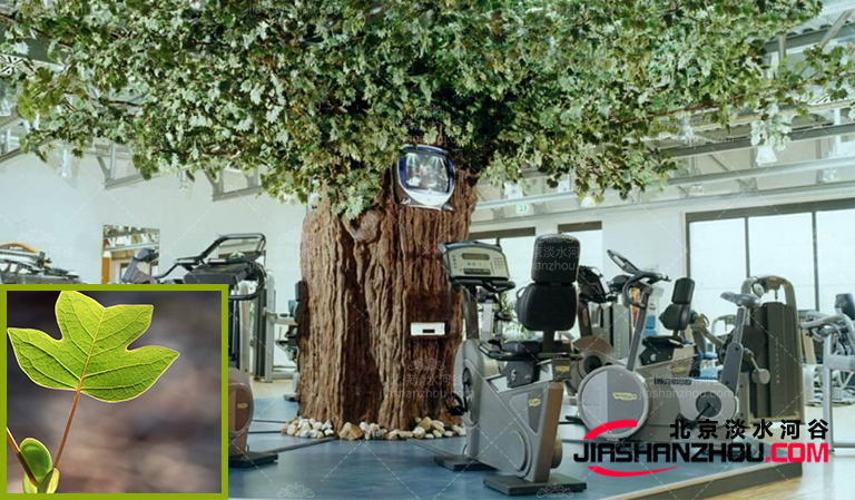 仿真树.jpg 仿真树