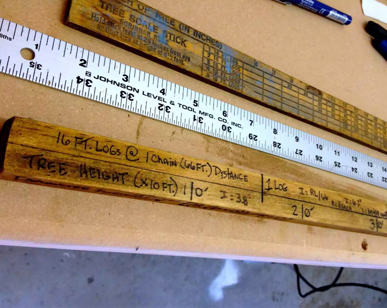 一棵树的高度在巡洋舰棍子上