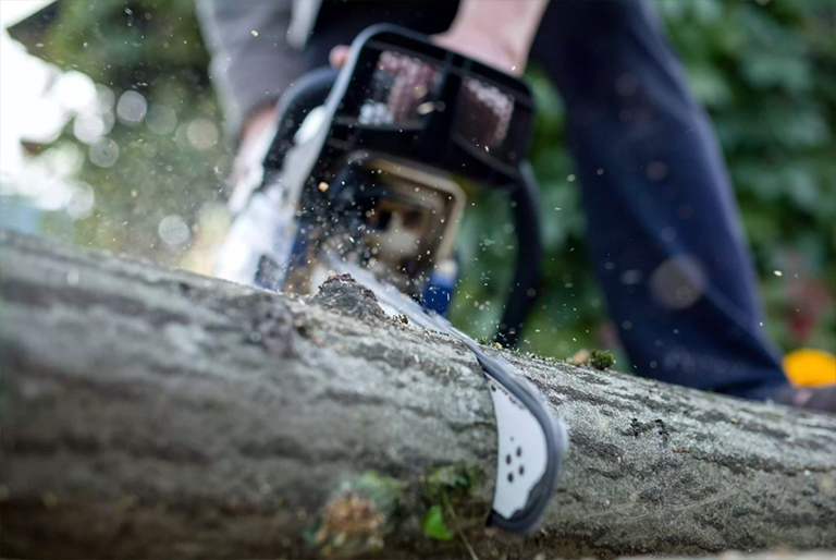 锯的反作用力.jpg 锯的反作用力