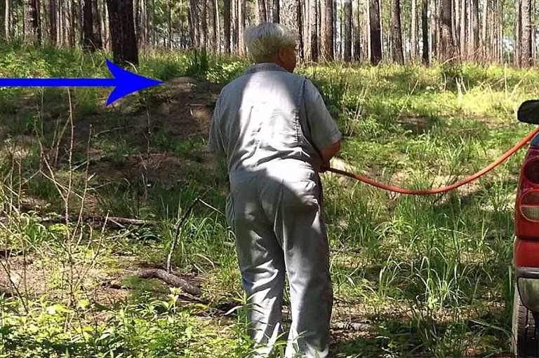 土壤树的应用.jpg 土壤树的应用