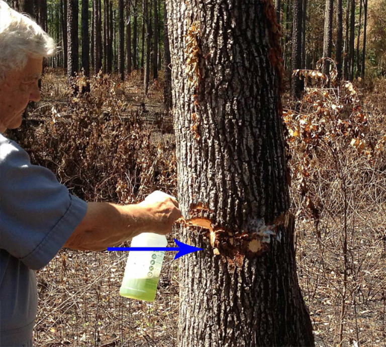 砍树程序.jpg 砍树程序