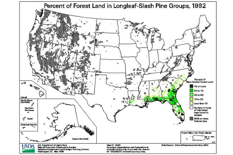 长叶斜线松树类型地图.jpg 长叶斜线松树类型地图