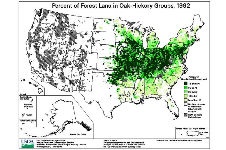 橡树山核桃型地图.jpg 橡树山核桃型地图