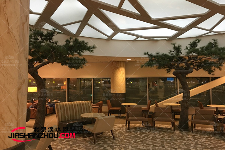 仿真树.jpg 仿真树