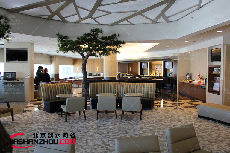 仿真树.jpg 仿真树