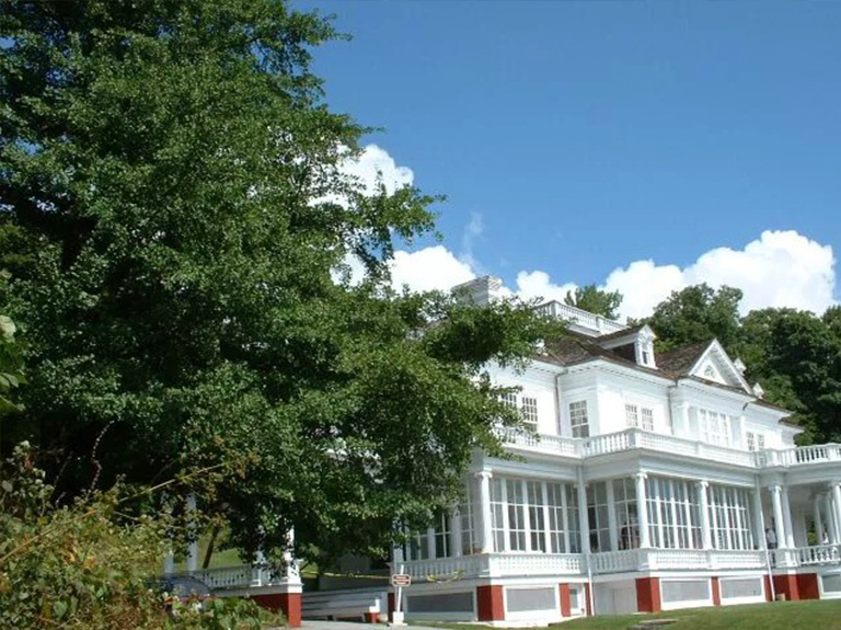 摩西锥银杏.jpg 摩西锥银杏