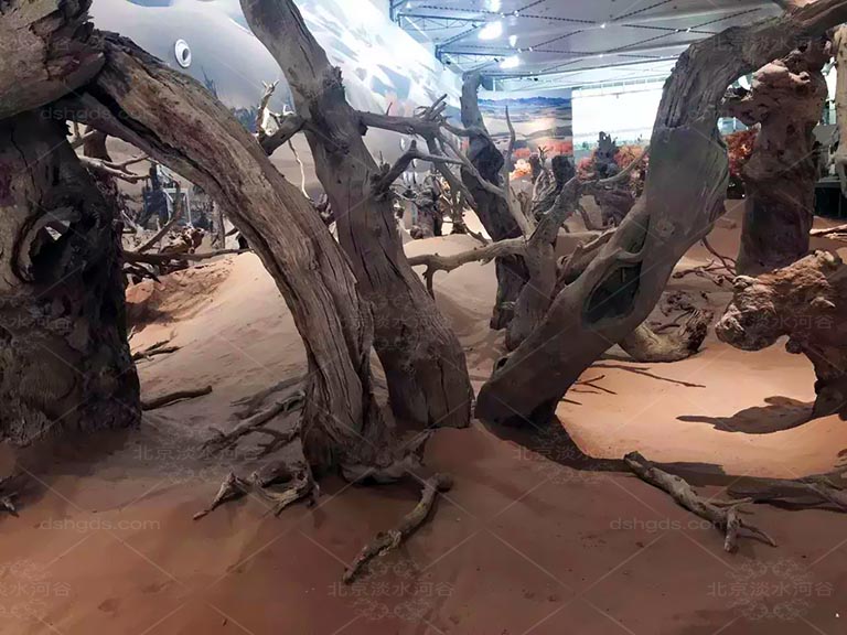 仿真树.jpeg 仿真树