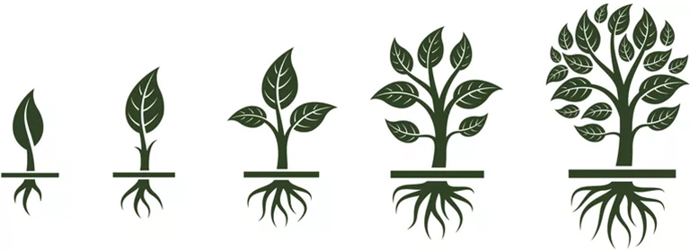 树形结构.jpg 树形结构