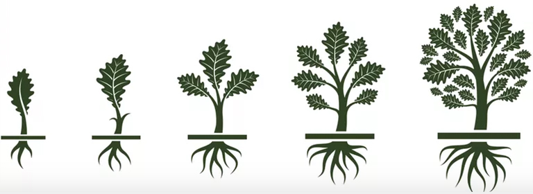 树形结构.jpg 树形结构