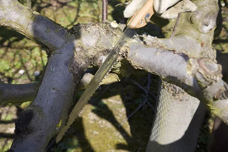 1588818198861434.jpg 22.jpg