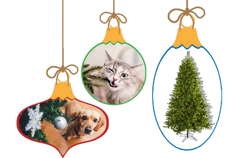 圣诞树.jpg 圣诞树