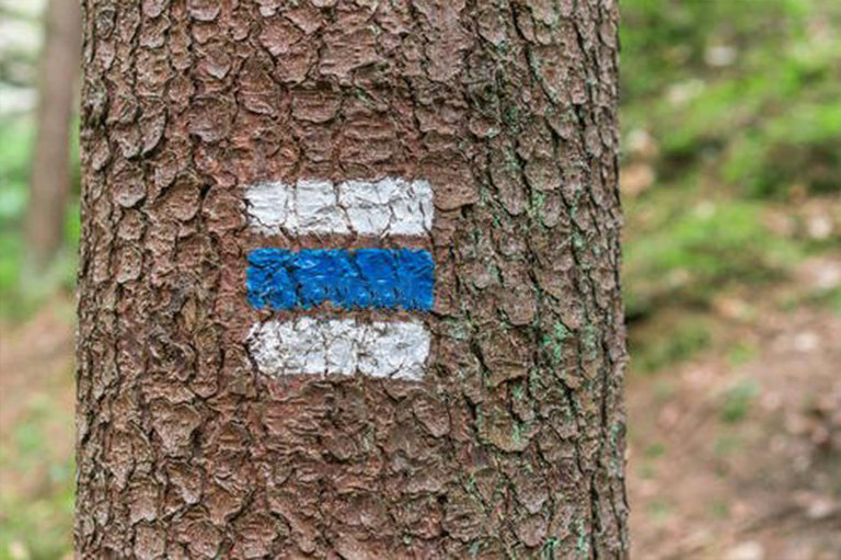 树木标志.jpg 树木标志