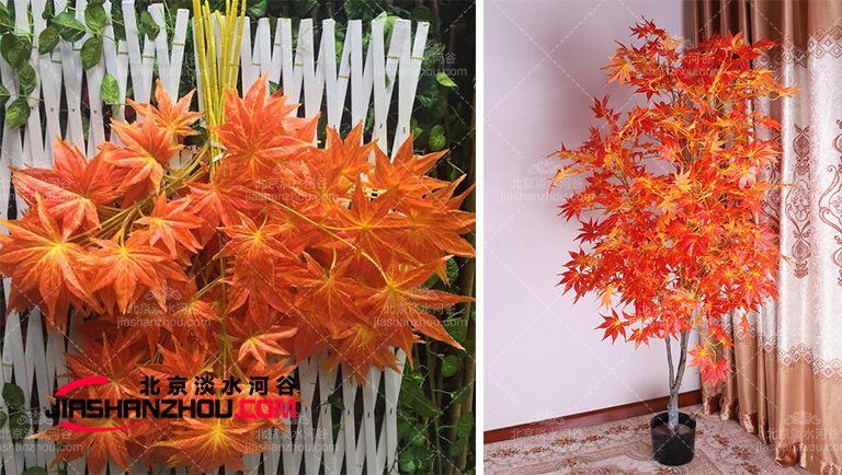 仿真树.jpg 仿真树