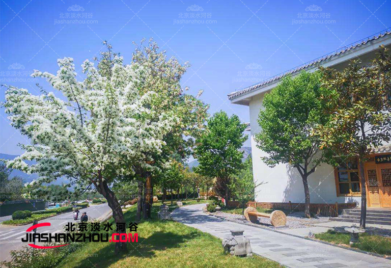 仿真树.jpg 仿真树