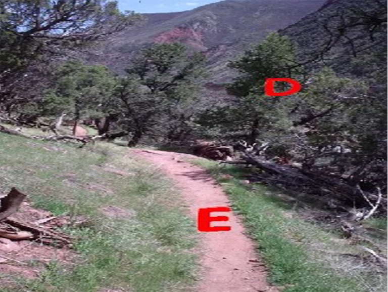 风暴国王山纪念步道.jpg 风暴国王山纪念步道