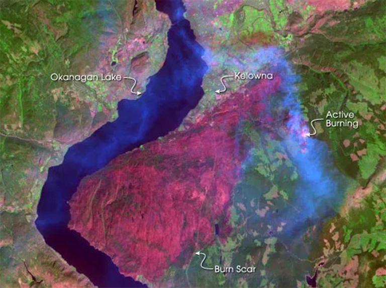 欧肯娜根山公园大火.jpg 欧肯娜根山公园大火