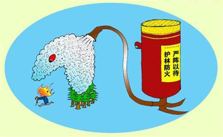 预测森林火灾.jpg 预测森林火灾