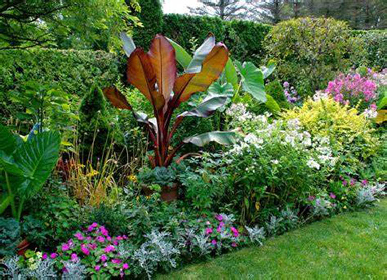 千层石景观.jpg 千层石景观