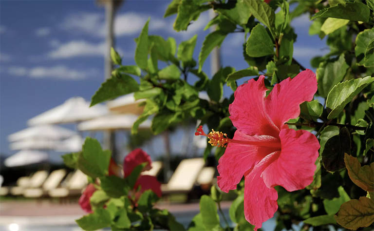 千层石景观.jpg 千层石景观