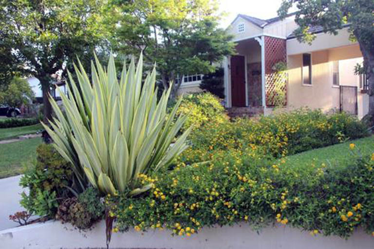 千层石景观.jpg 千层石景观