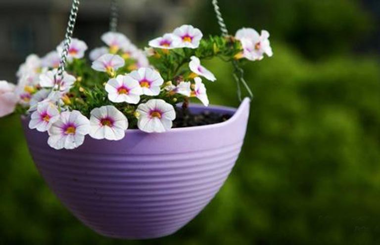 仿真树.jpg 仿真树