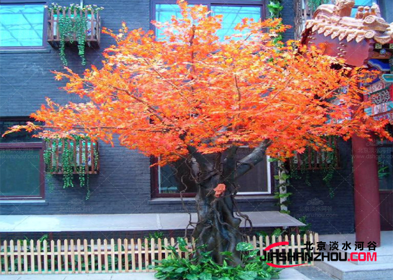 仿真树.jpg 仿真树