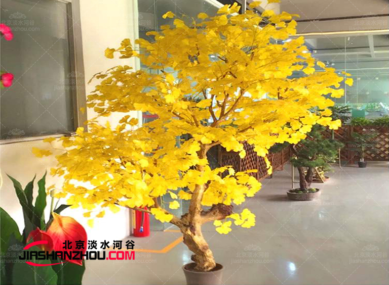 仿真树.jpg 仿真树