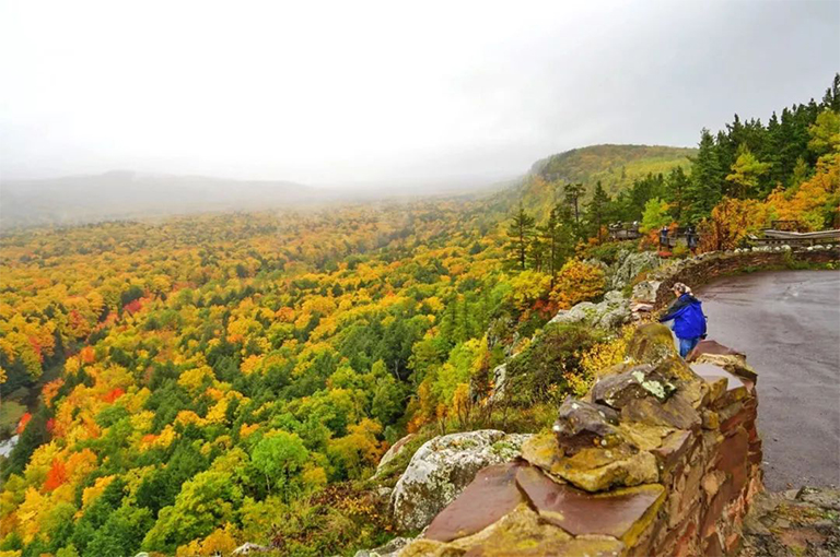 高潮群落.jpg 高潮群落