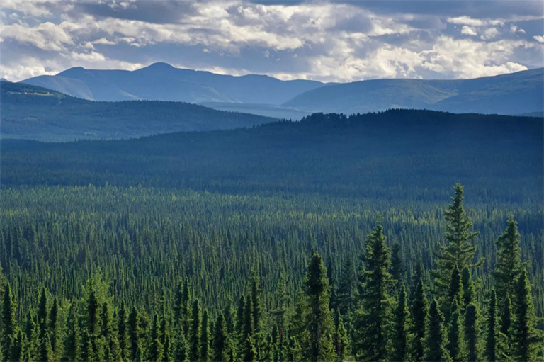 蒂亚加.jpg 蒂亚加