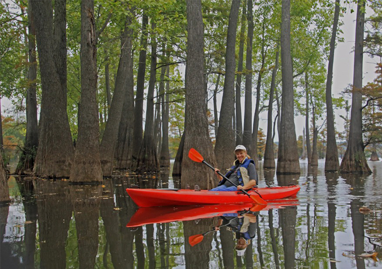 女人在水图珀洛树木之间划皮艇
