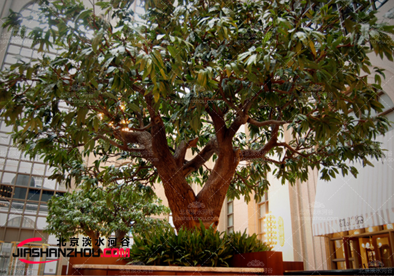 饭店仿真树.jpg 饭店仿真树