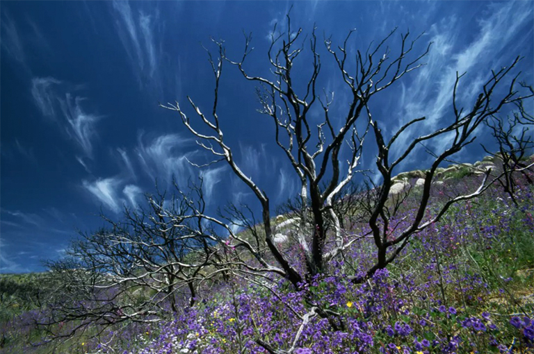 刻录站点再生.jpg 刻录站点再生