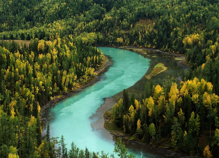 陆地生物群落塔加斯.jpg 陆地生物群落塔加斯