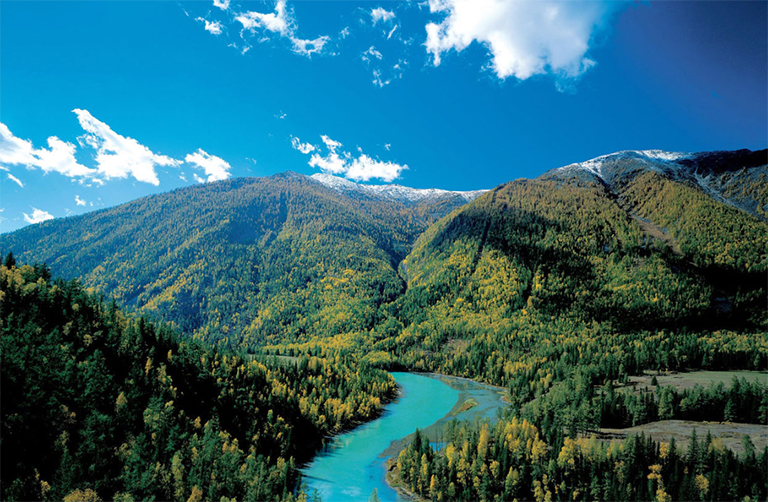 陆地生物群落塔加斯.jpg 陆地生物群落塔加斯