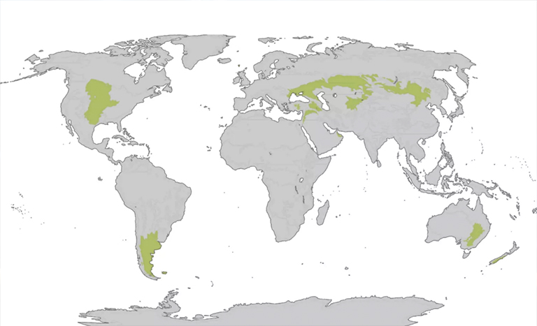 温带草原地图.jpg 温带草原地图