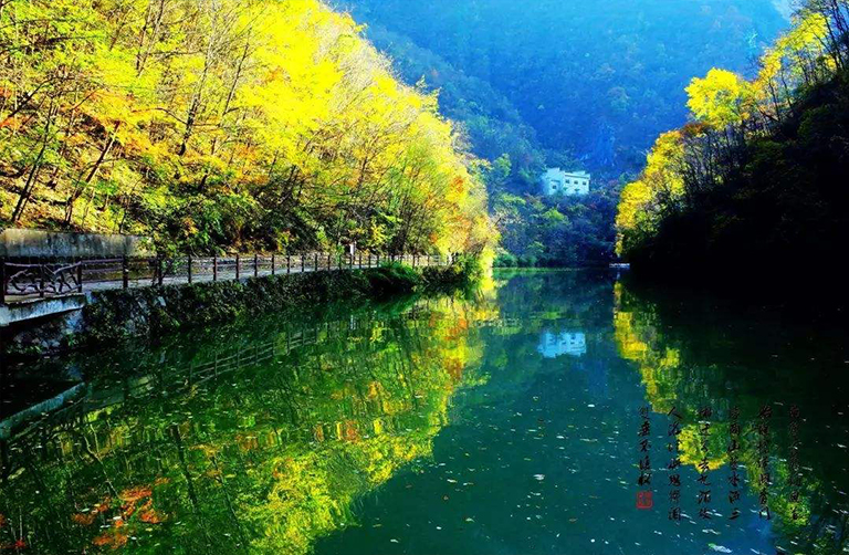 温带森林生态系统.jpg 温带森林生态系统