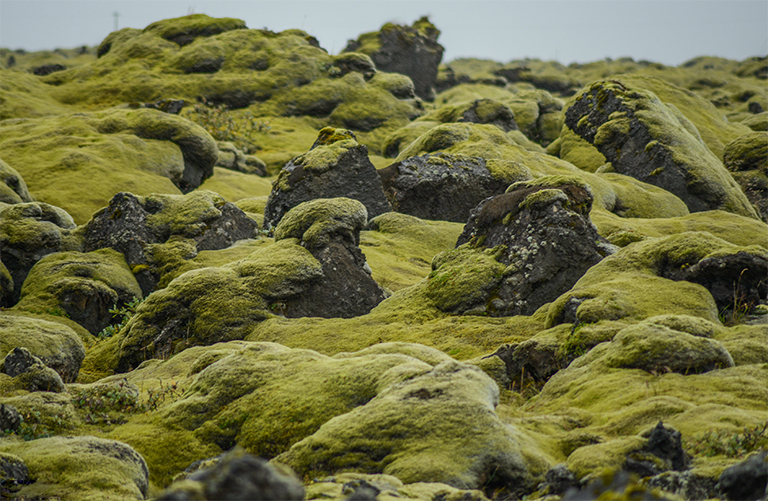 生物群落与气候之间的联系.jpg 生物群落与气候之间的联系
