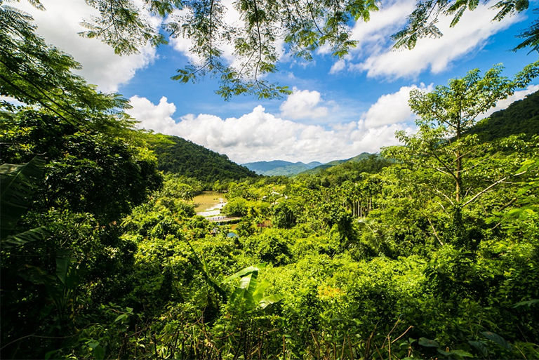 生态演替.jpg 生态演替