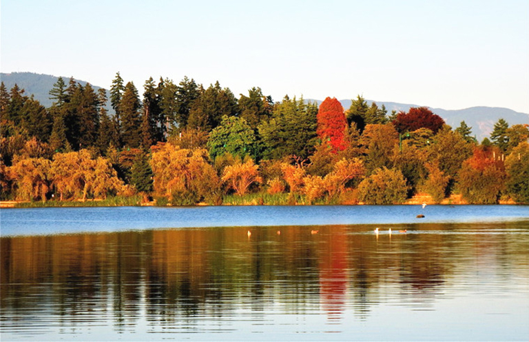 北美东部落叶林.jpg 北美东部落叶林