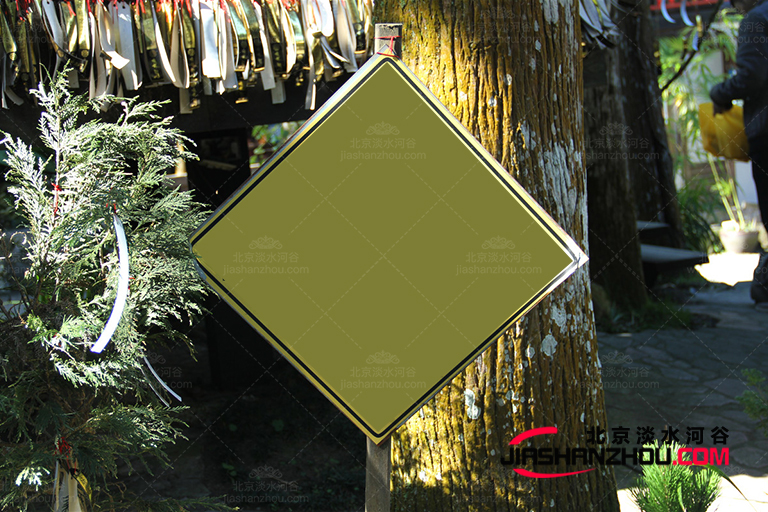 仿真树.jpg 仿真树