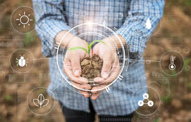 生物因素与非生物因素.jpg 生物因素与非生物因素