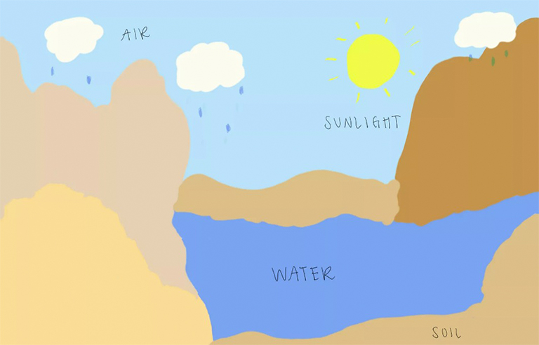 生物因素与非生物因素.jpg 生物因素与非生物因素