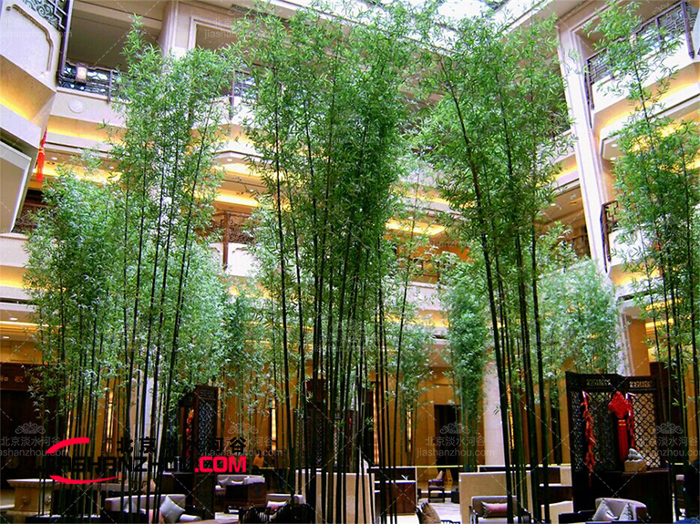 仿真树.jpg 仿真树