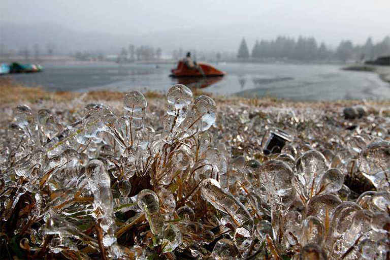 黑莓冬季.jpg 黑莓冬季
