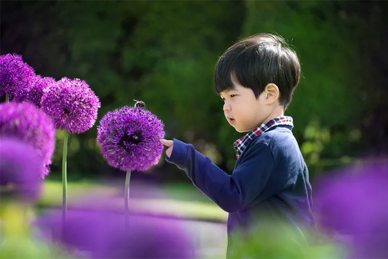 有益的花园虫子.jpg 有益的花园虫子