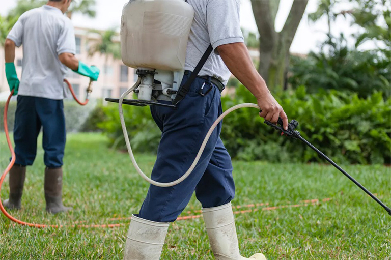 限制农药使用.jpg 限制农药使用