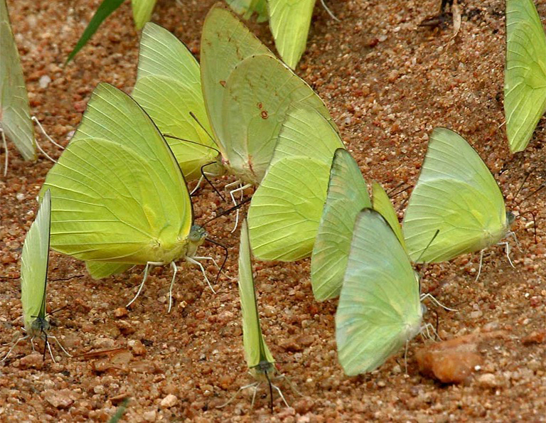 做水坑.jpg 做水坑