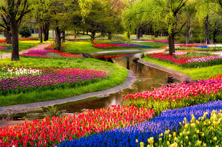 春季自然研究主题.jpg 春季自然研究主题