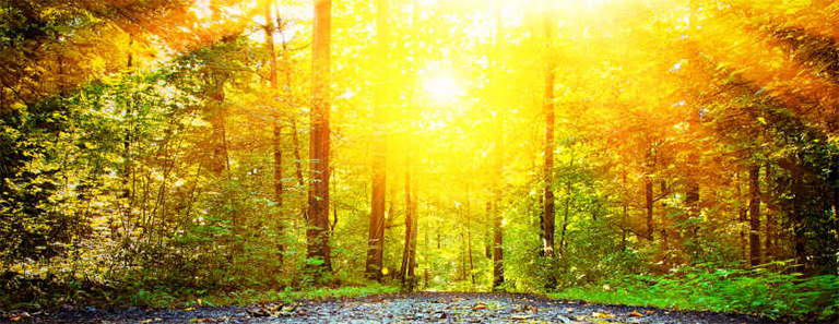 春季自然研究主题.jpg 春季自然研究主题