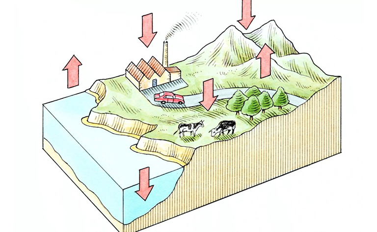 氧气循环.jpg 氧气循环